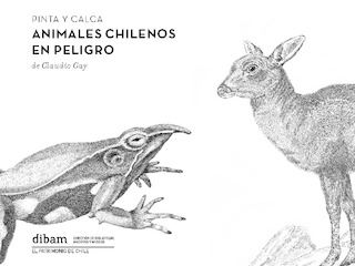 Pinta y calca I: Animales chilenos en peligro
