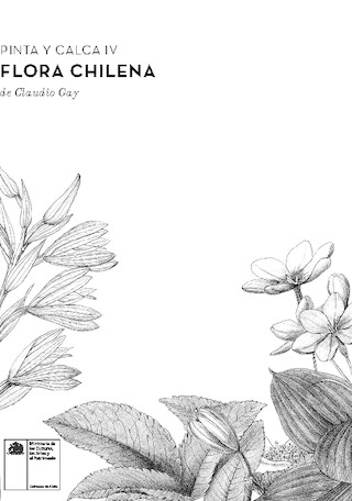 Pinta y calca IV: Flora chilena